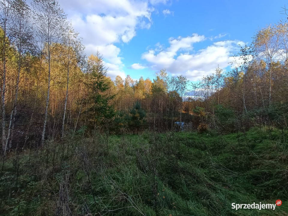 sprzedaży działki Gromadzin 3253 metry Sprzedaż pomorskie sprzedam