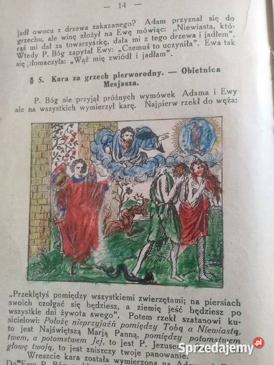 Obszerniejsza Historia Święta Albo Biblijna