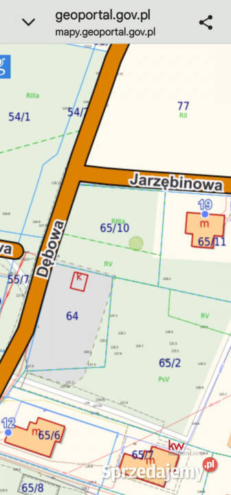 Działka Krzeptów 1100 metrów dolnośląskie