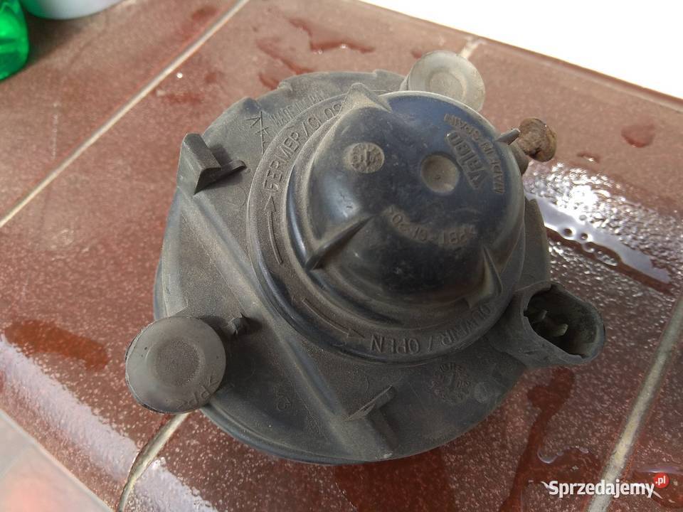 Halogen Seata Exeo osobowe Otwock