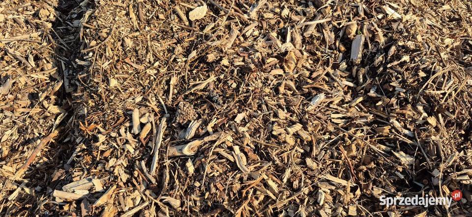 Zrębki mieszane biomasa łódzkie Kurnędz sprzedam