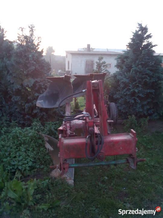 Pług obrotowy 3skibowy INTERNATIONAL Skarżyn sprzedam