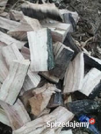 drewno topola suche pomorskie Tychnowy