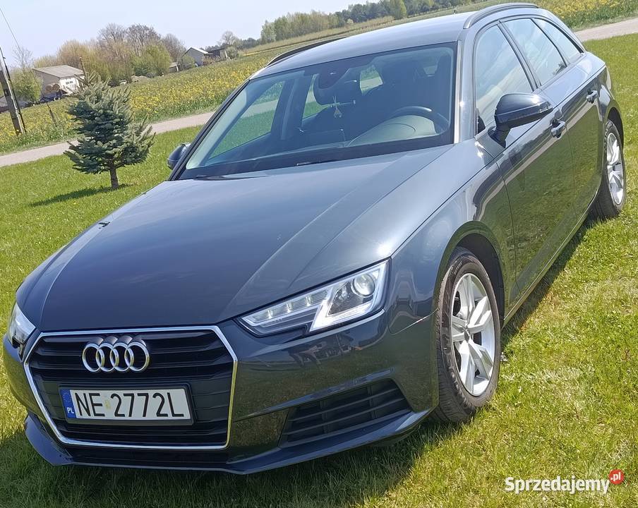 Audi A4 B9 20TDI 150 nieuszkodzony Przyłęk