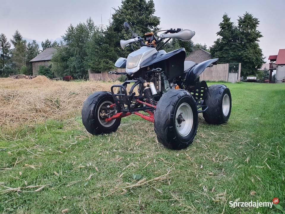 Quadziki bashan Zarjerestrowany Rok produkcji 2009 Krajno Pierwsze