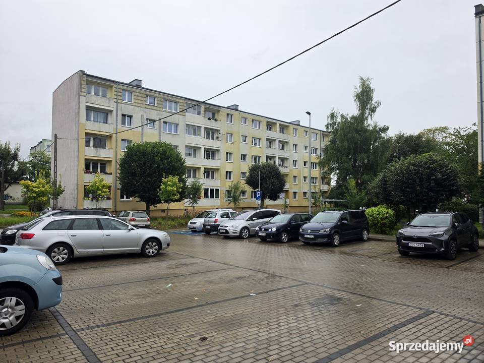 Mieszkanie Kościerzyna 38 metrów 229000 Liczba pokoi 2