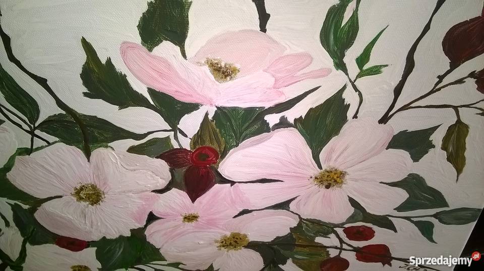 Obraz akryl Gałąź Dzikiej Róży Oleśnica