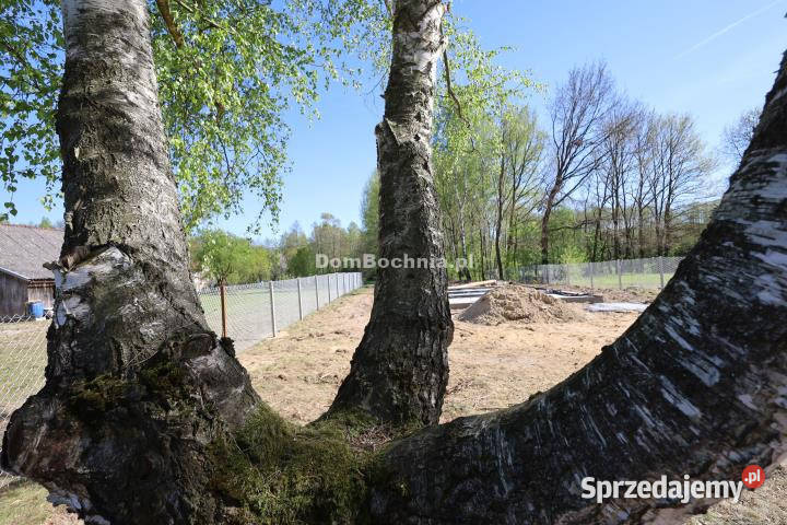 Działka 2900m2 Dąbrówka 69zł/m2