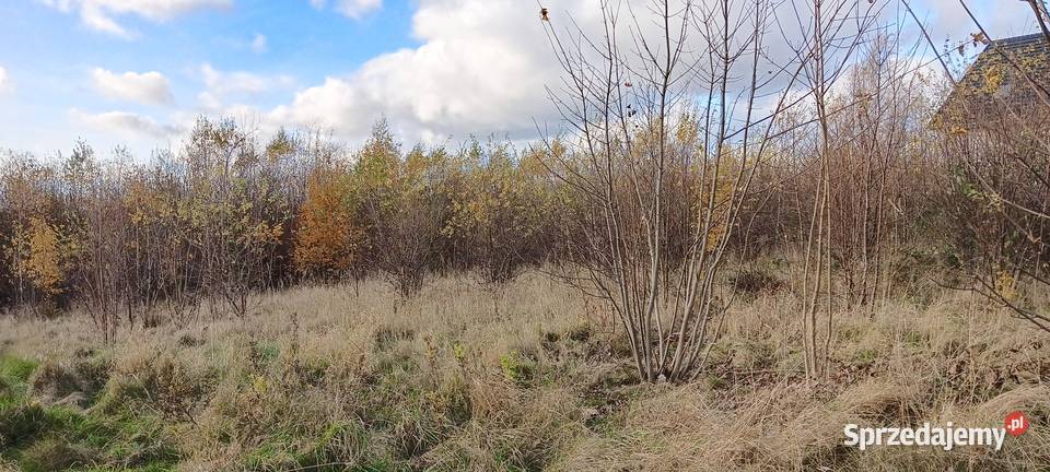 3 działki z MPZP w Wychowie k Luzina 194zł/m2 Sychowo