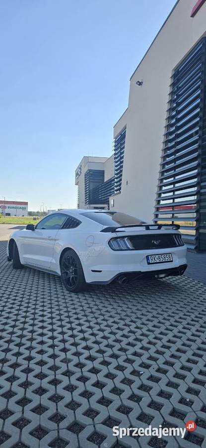 Ford Mustang 23 Performance Package Premium Mustang Krosno sprzedam