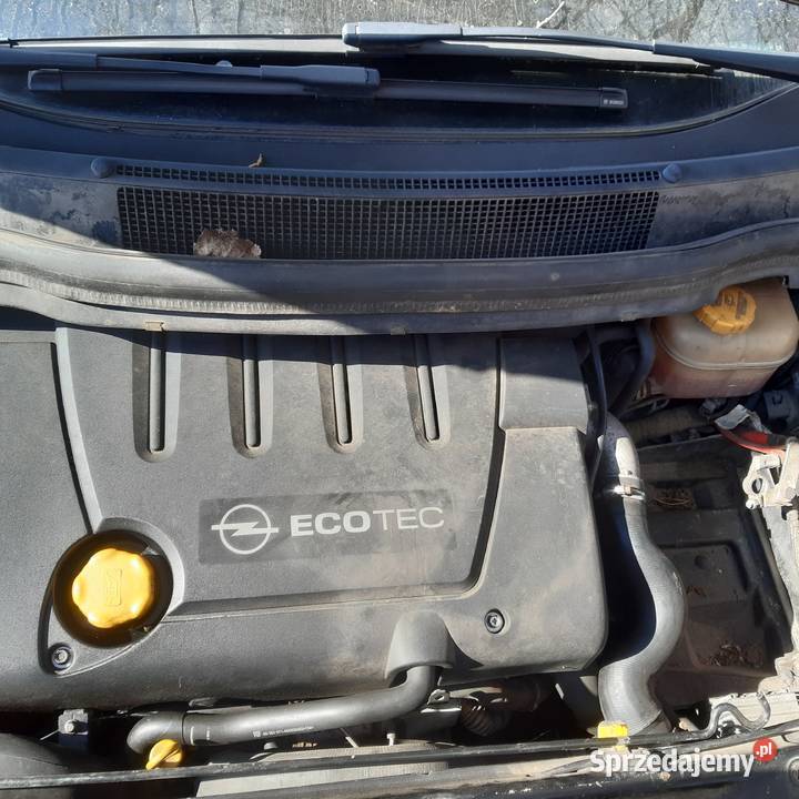 Zafira B 19cdticzęści lubelskie Biała Podlaska sprzedam