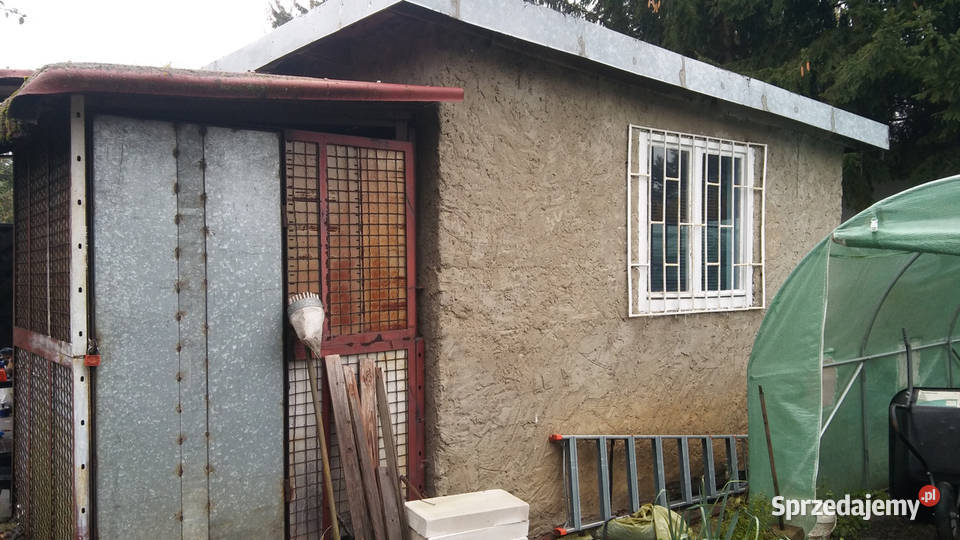 Działka ROD Złgotowska II z altaną Poznań