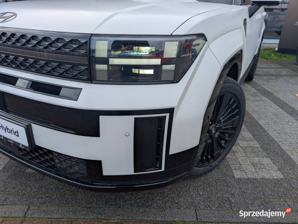 Caligraphy 16 TGDI HEV 6AT 4WD 6os Creamy White Kalisz