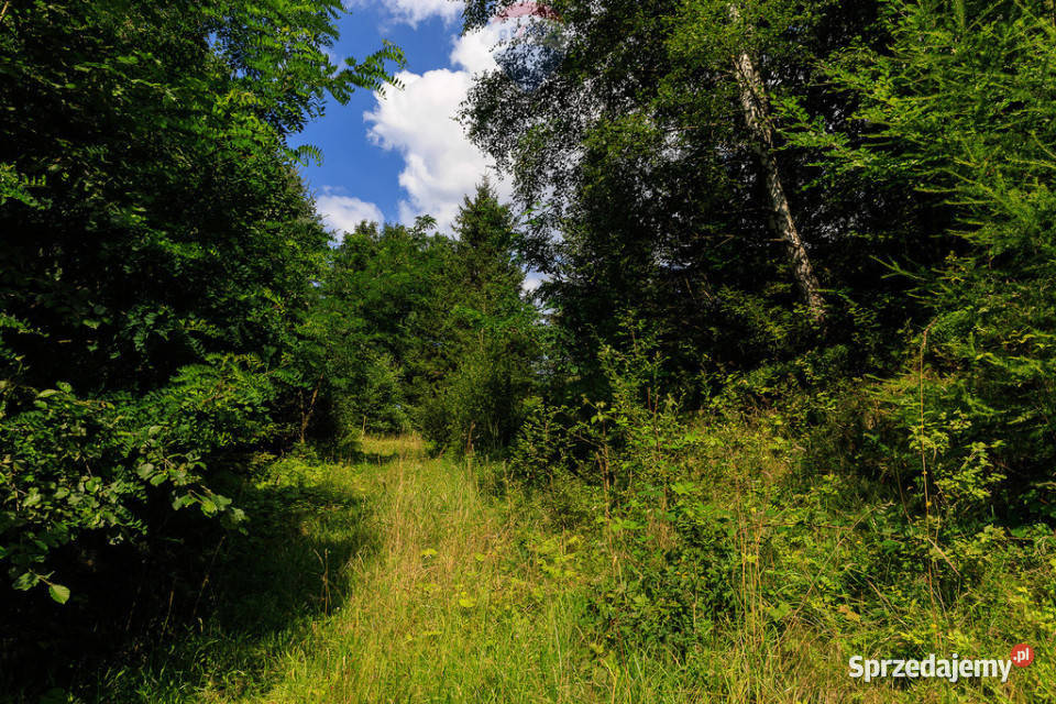 Komplet 12 działek w Bystrej kBielskaBiałej 0m Bystra sprzedam