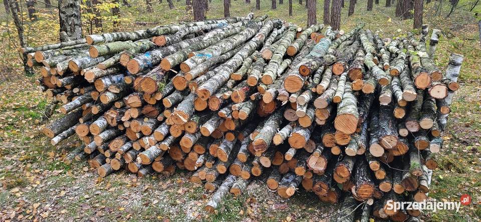 Drewno Opałowe gałęziuwka Rojewo