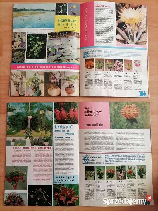 Kwiaty Czasopismo Kwartalnik 1989 PRL Wałbrzych sprzedam