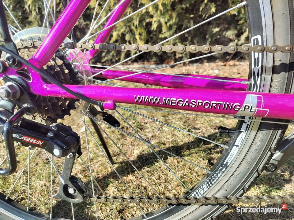 Rower Luna Lizard 26