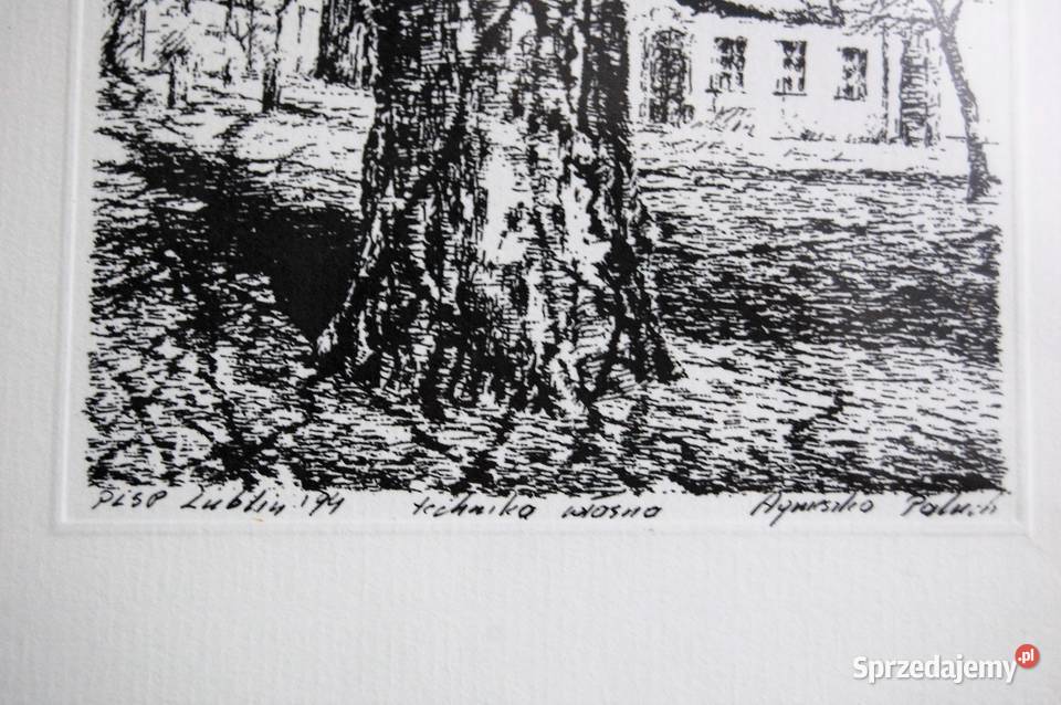 Drzewo grafika czarnobiała Agnieszka Paluch 1994 czarny