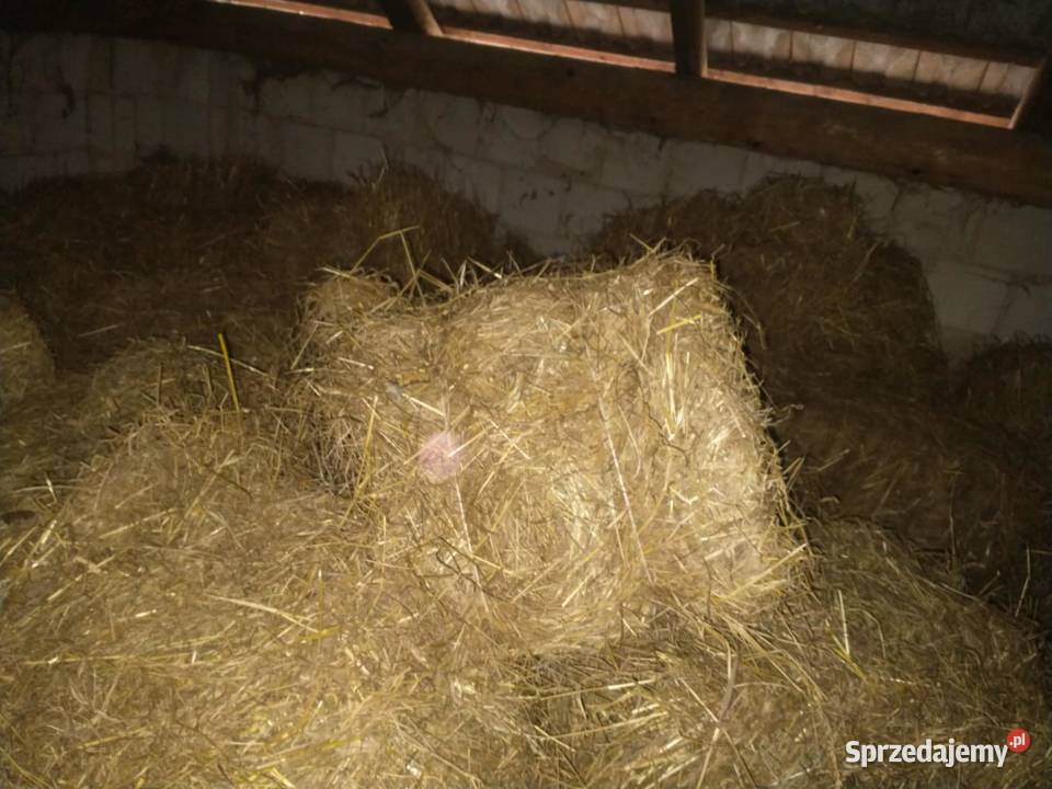 Sprzedam siano podkarpackie