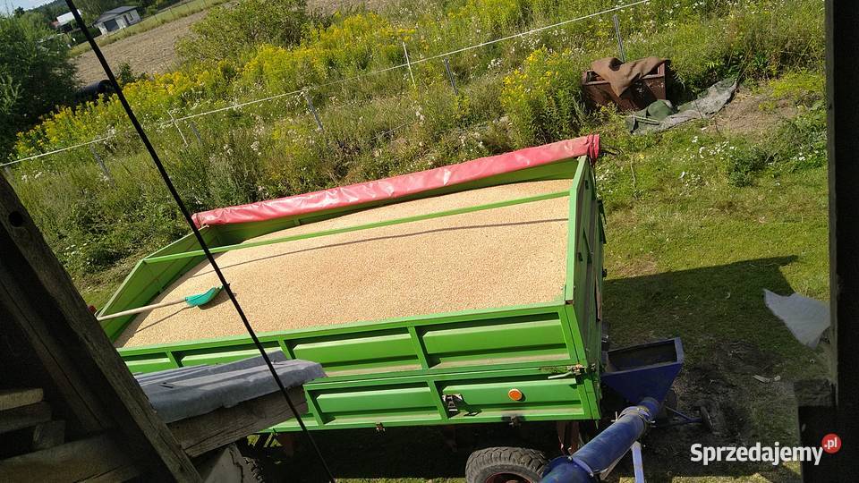 Przyczepa D47B remoncie w 2017 roku