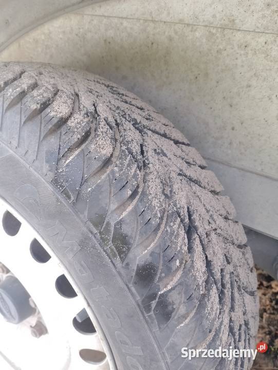 Do sprzedania przyczepa do przewozu koni Boeckman