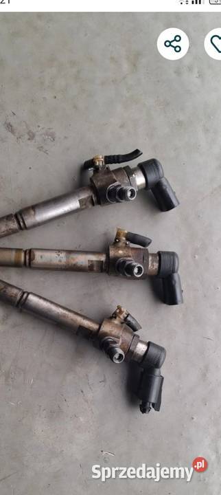 Wtryski 166008052r Kielce