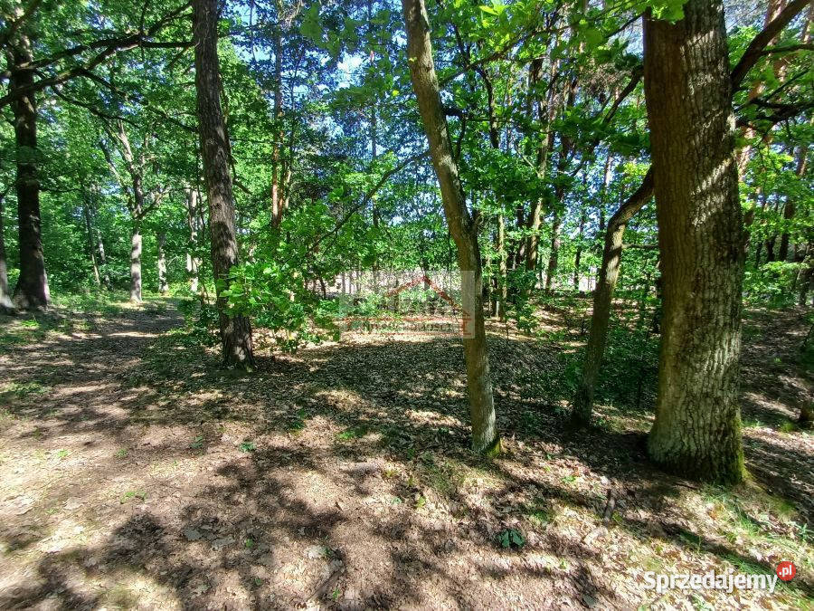 Grunt 9859m2 Grabów Pilicą woda Grabów nad Pilicą sprzedam
