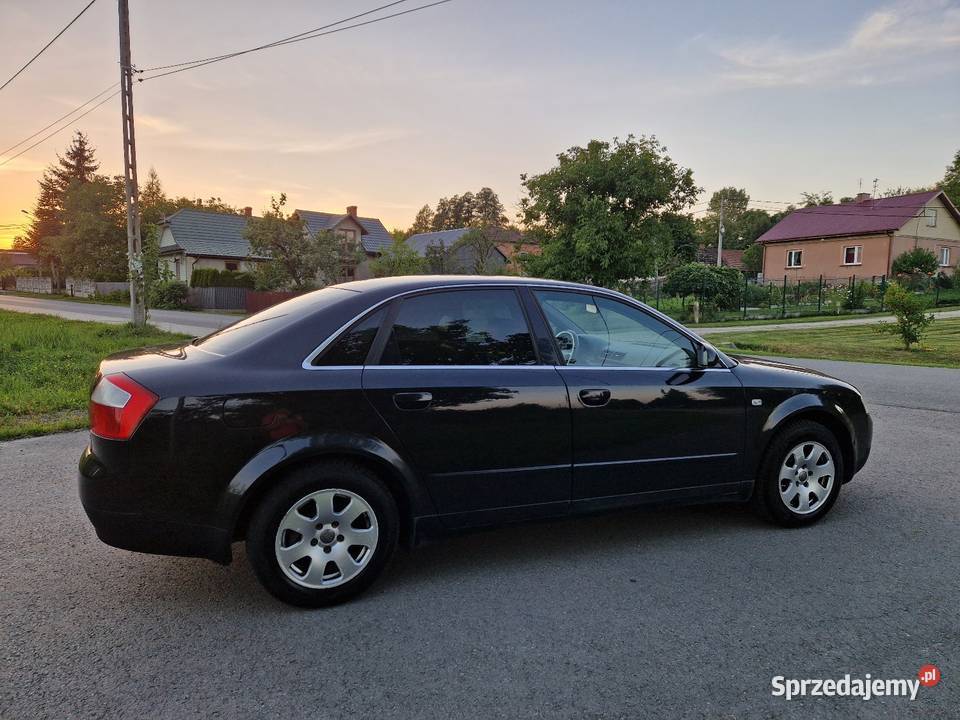 Audi A4 B6 19 TDI AVF 130 6biegów Skóra Nowe Rok produkcji 2002 podkarpackie Głogów Małopolski