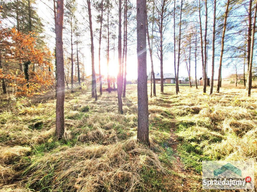 sprzedaży gruntu 1350m2 Golczewo telefon