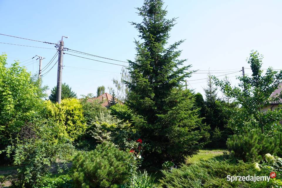 Dom 150 m kw Rogozino