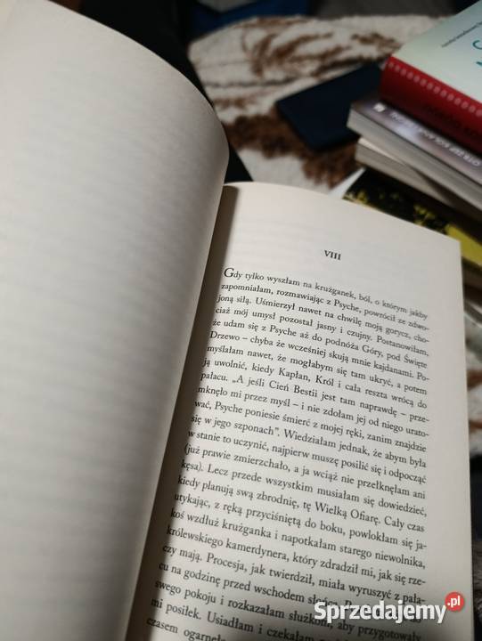 Dopóki mamy twarze Mit opowiedziany na nowo Poznań sprzedam