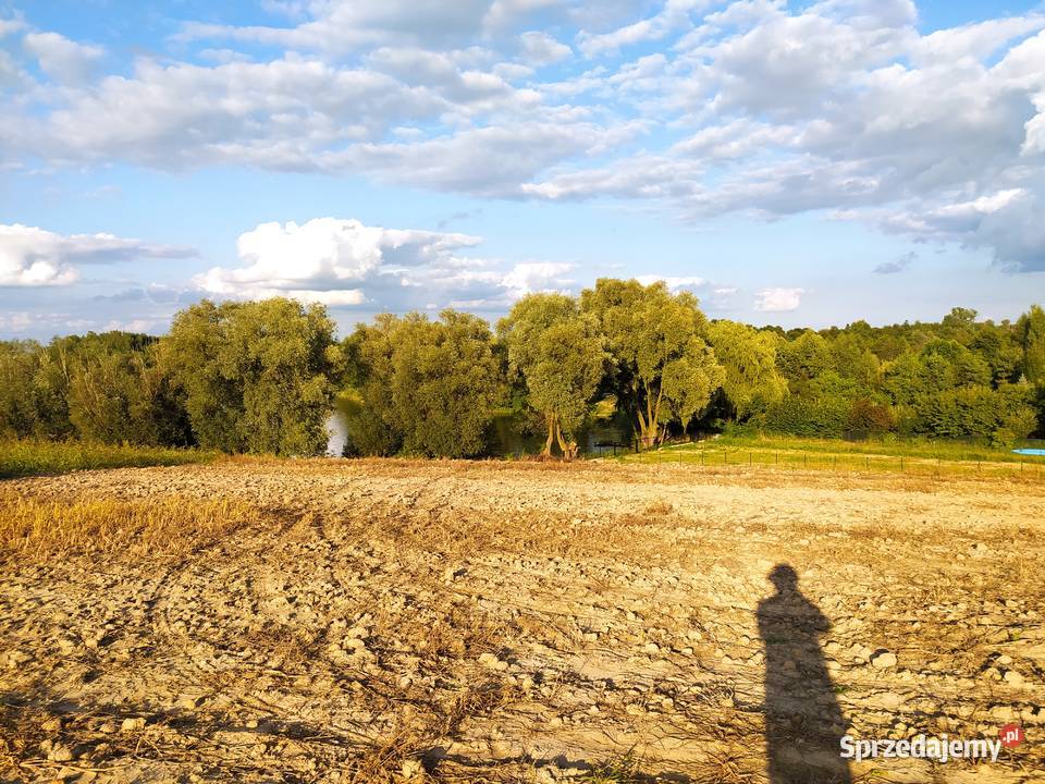 Działka jeziorem w powiecie rypińskim z linią Trąbin-Rumunki