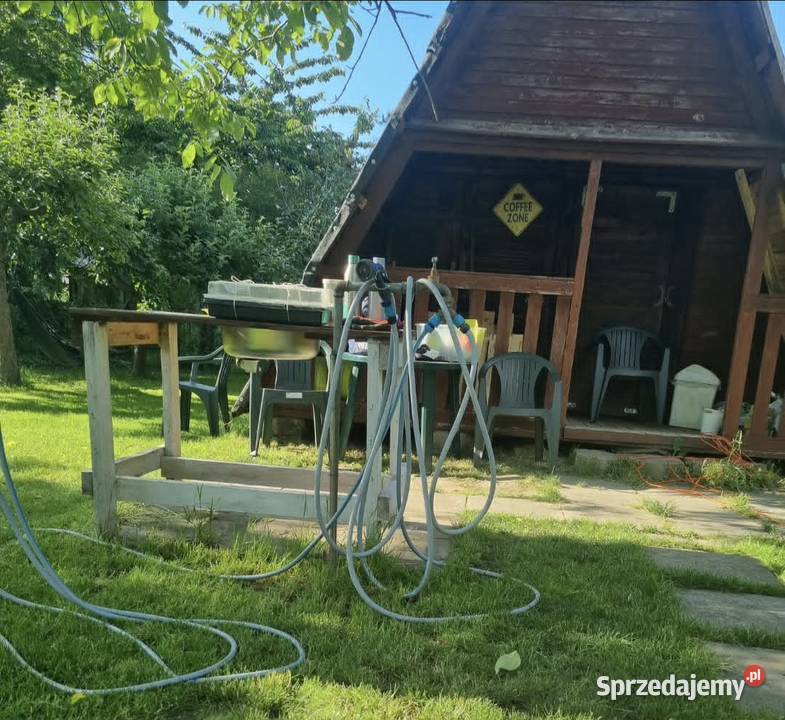 Działka ROD Morysin 300 m z domkiem sprzedam