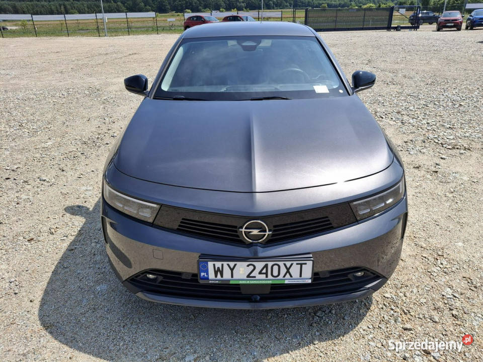 Opel Astra L 2021 nieuszkodzony Komorniki sprzedam
