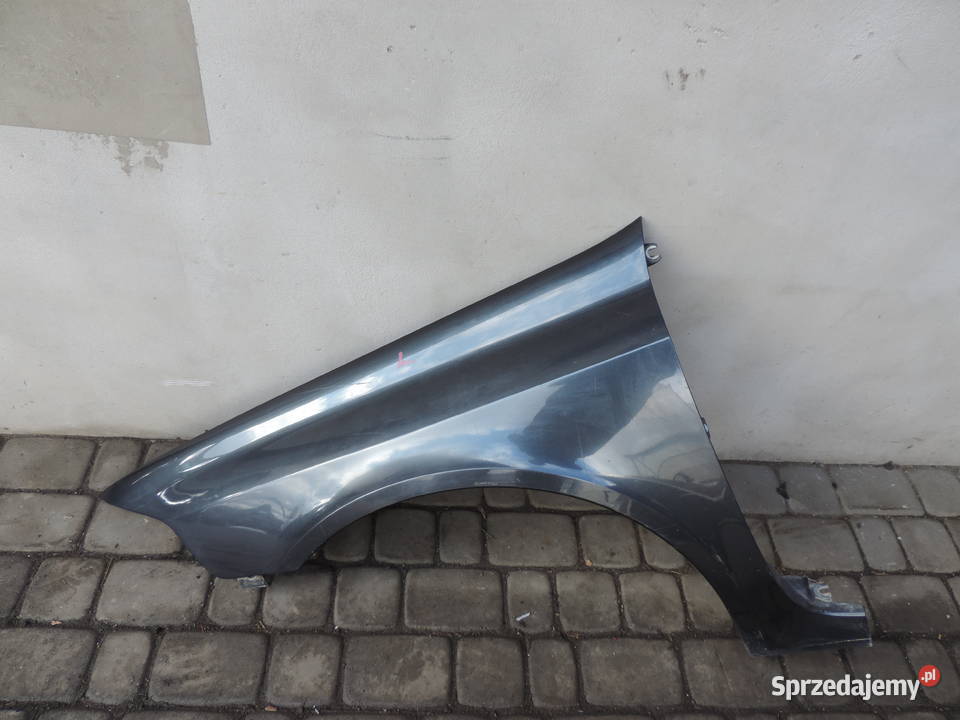RENO LAGUNA 2 II BŁOTNIK LEWY PRZEDNI TEB66 Karoseria małopolskie Nowy Sącz