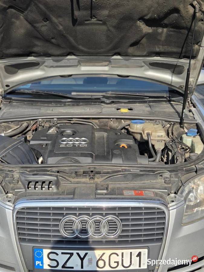 Audi a4 b7 20 TDI Leśna