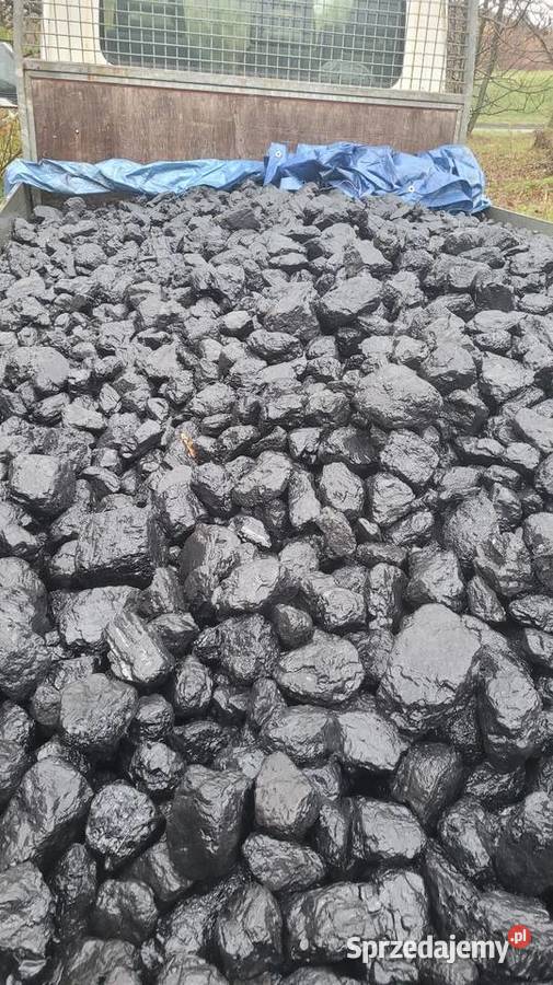 Węgiel orzech I workowany 25 Bytom