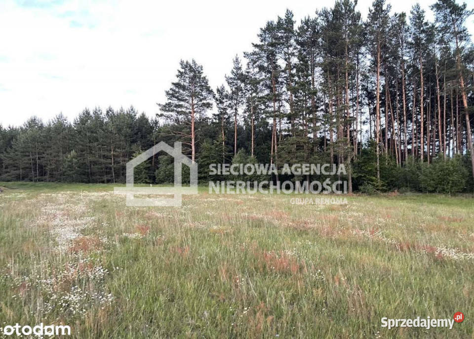 sprzedaży gruntu Niesiołowice 1500m2 pomorskie