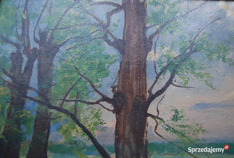 Wojciech Kossak 1856 1942 obraz Park w Wilanowie Poznań sprzedam