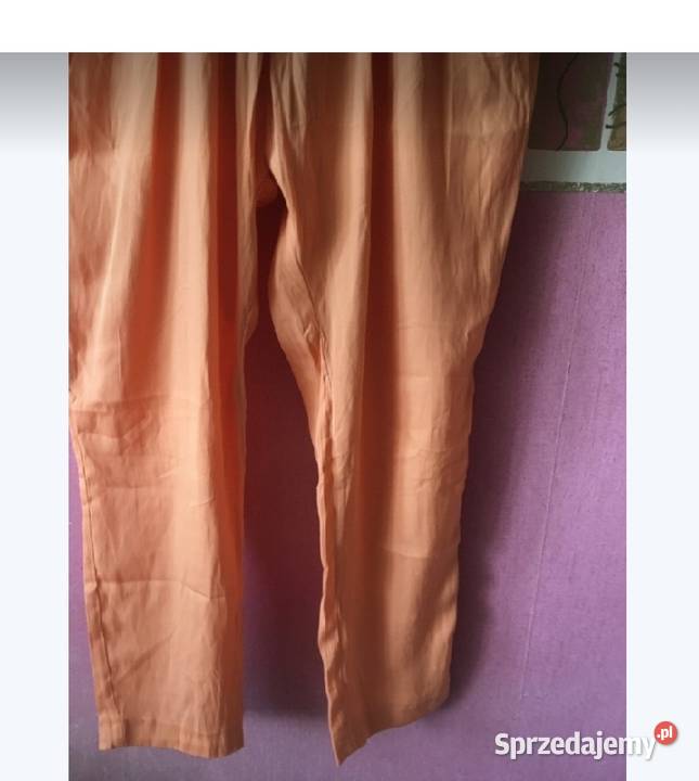 Zara spodnie Xs S Rozmiar 36(S) wielkopolskie Leszno sprzedam