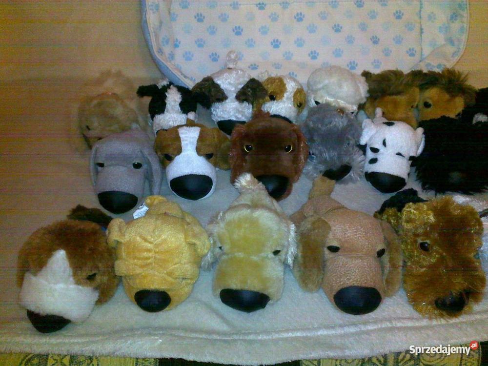 kolekcja THE DOG Poznań