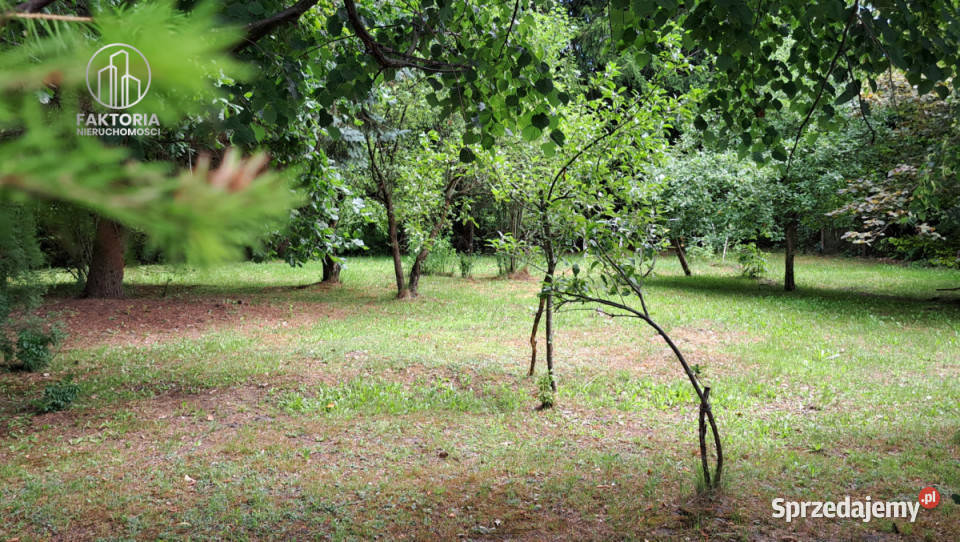 Działka 16000m2 Sobolewo Baranowicka