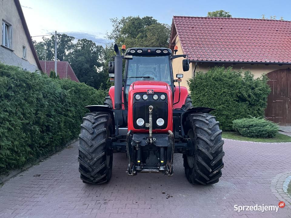 Massey Ferguson 8460 Myślibórz