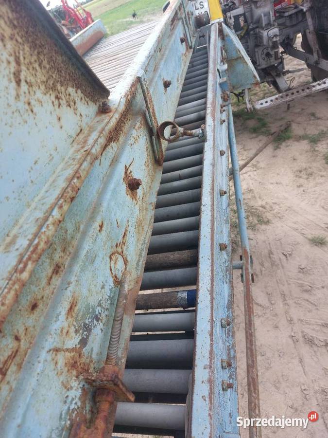 Sortownik mazowieckie Stara Kornica