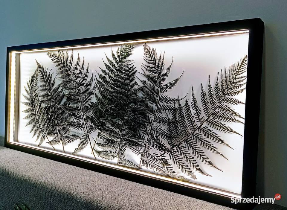 Rama z podświetleniem LED 100x40 z paprociami małopolskie
