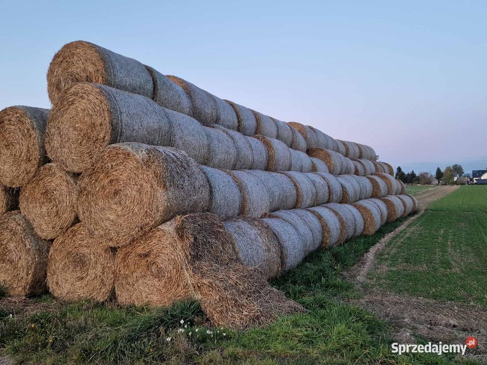 Słoma mazowieckie Stara Kornica