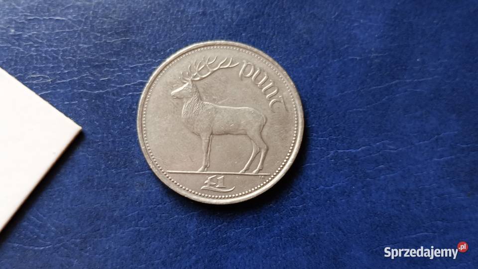 Stare monety 1 funt 1998 Irlandia podkarpackie Lesko sprzedam