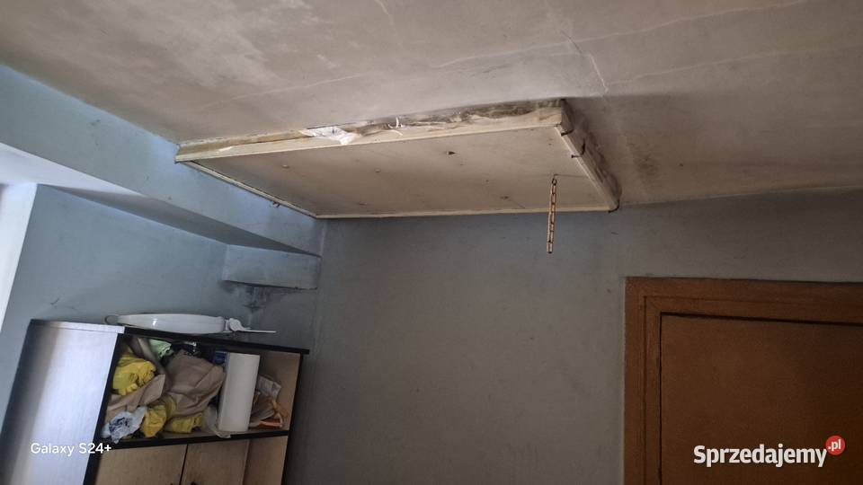 Sprzedaż domu z plantacją borówki mieszkalny Świeszyno