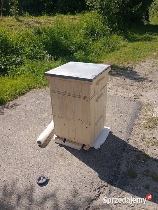 Ule wielkopolskie korpusowe Pszczelarstwo Sieniawa