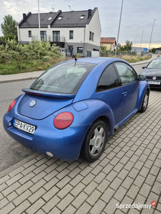 VW Beetle Gdańsk